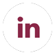 Linkedin logo TM